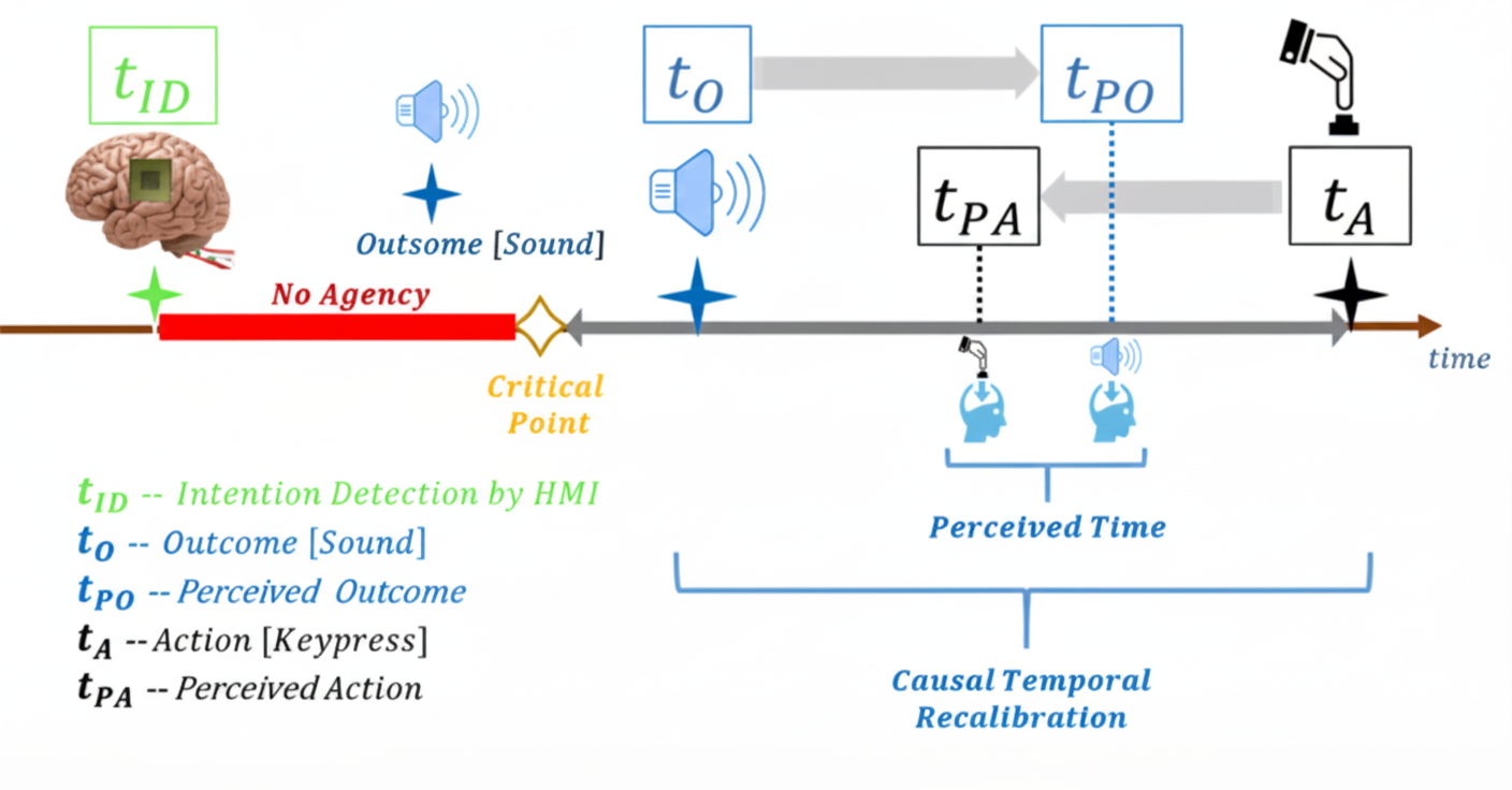 Temporal Recalibration in Action-Outcome Sequences