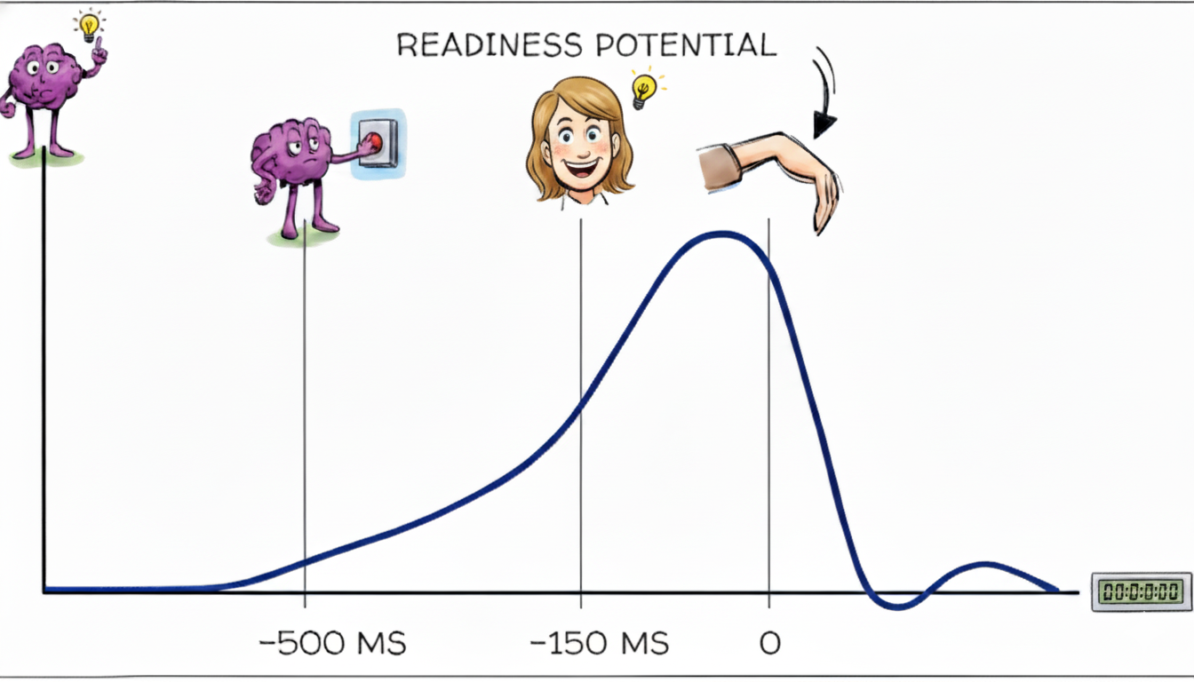 Timeline of brain activity and conscious awareness