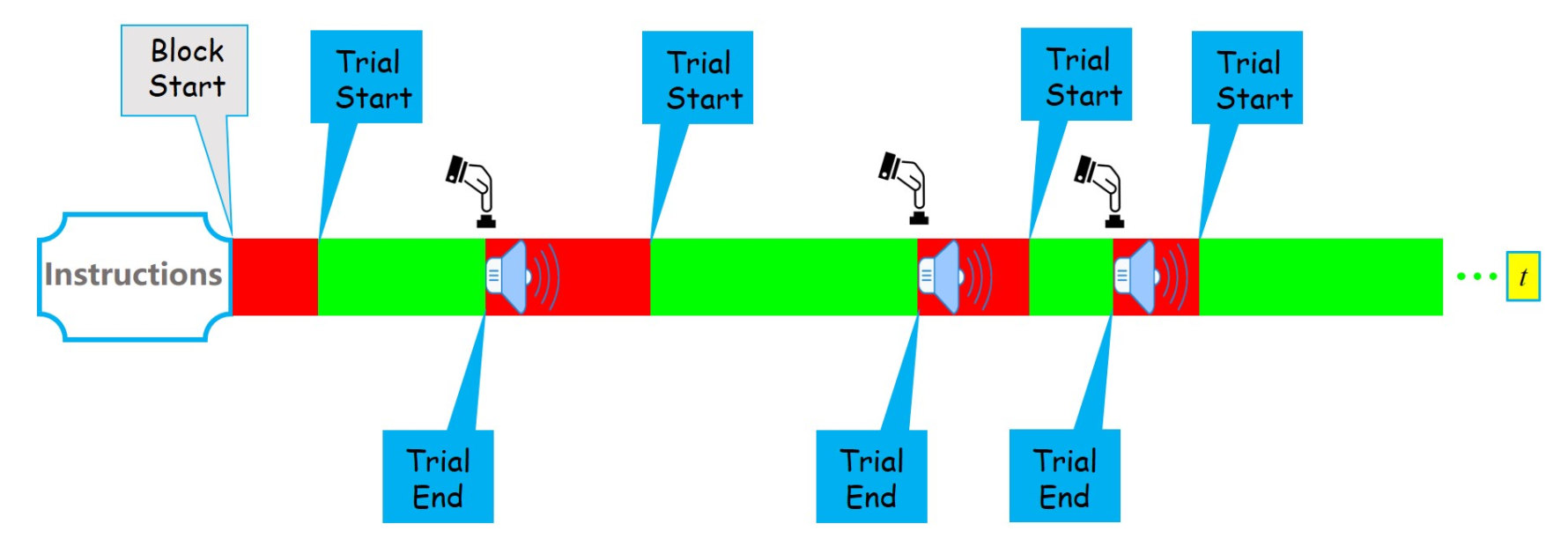 Timeline of preparatory stage experiment