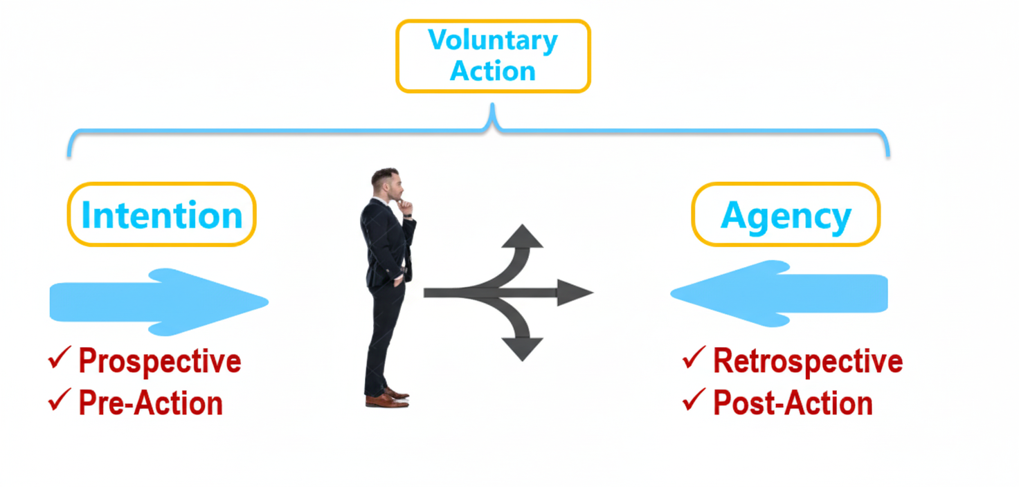 Voluntary action components: Intention and Agency