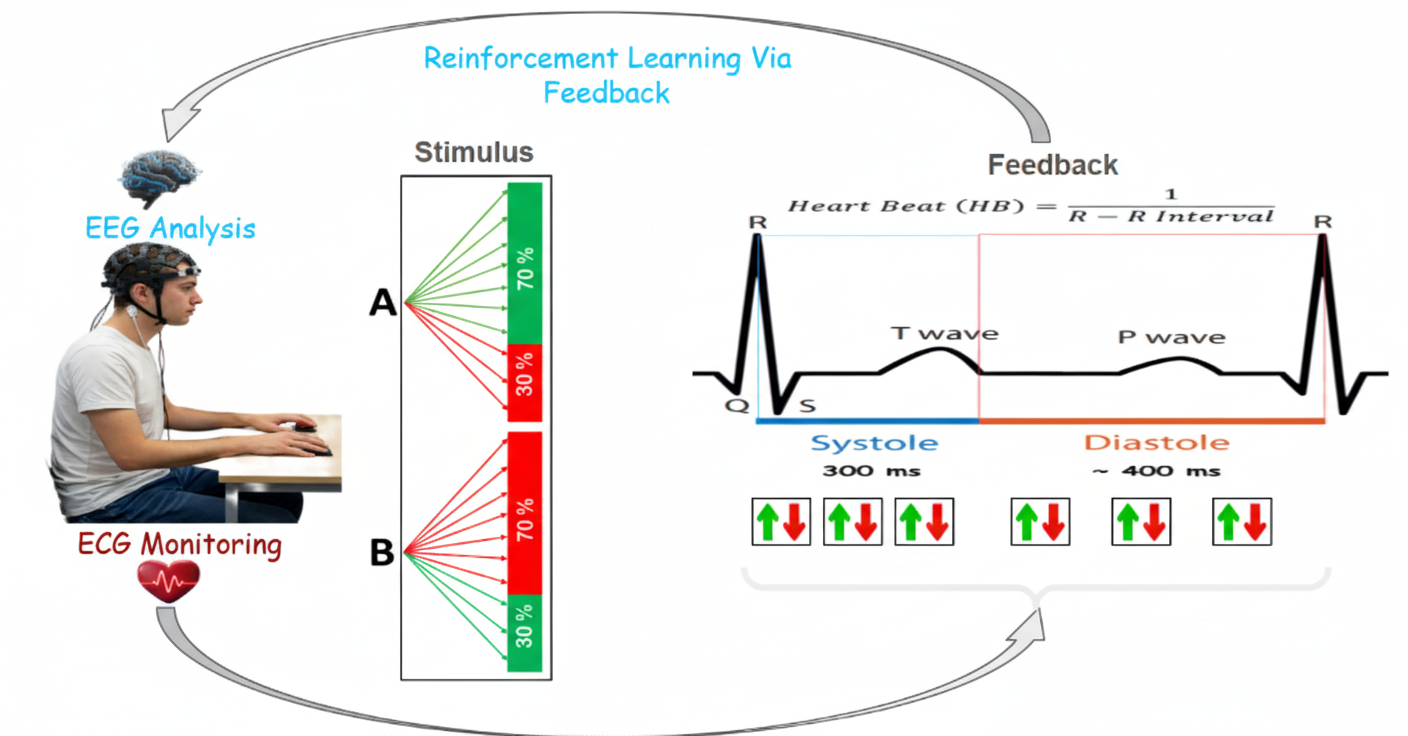 Real-time BCI system diagram