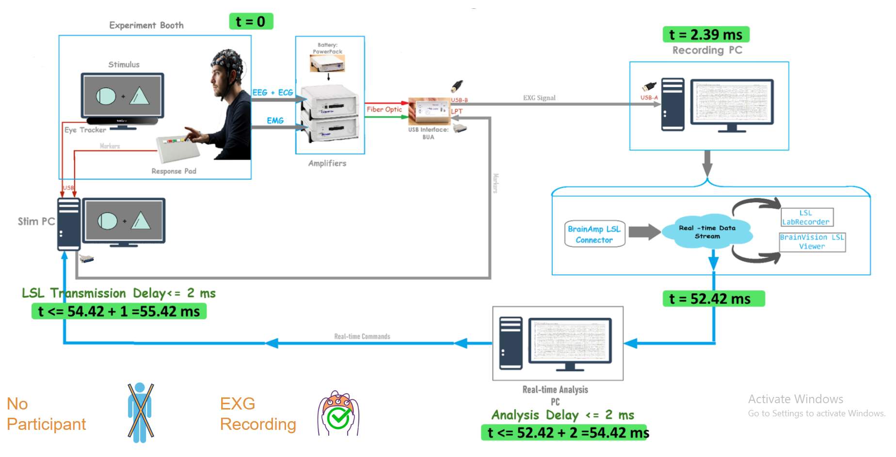 Measured Timeline and Delays in Closed-Loop BCI