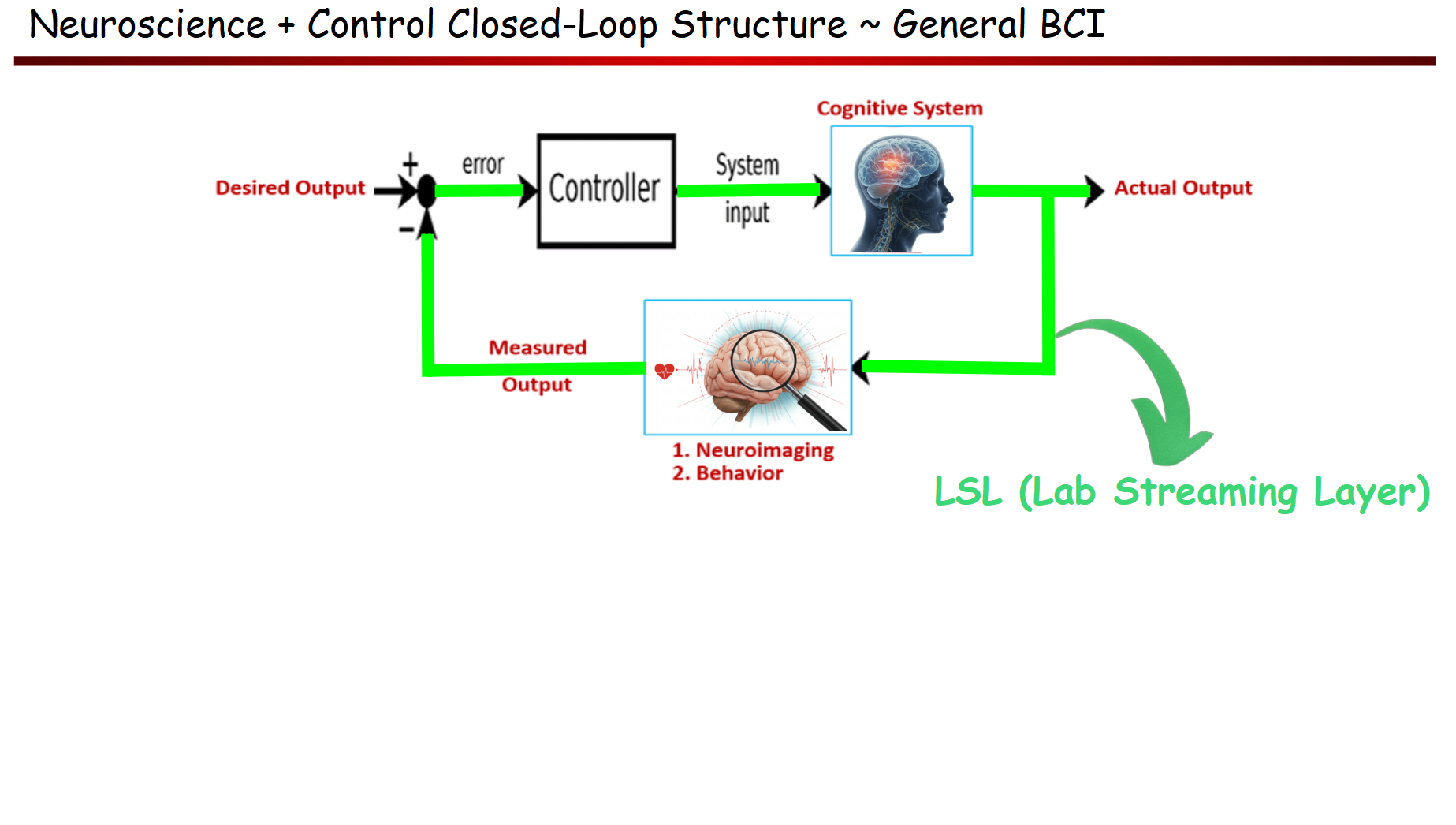 BCI with LSL Integration